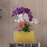 Maxbell Metal Flower Pot Iron Vase Rectangle Plating for Front Porch Garden Aureate M