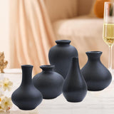 Maxbell Nordic Ceramic Vase 5Pack Boho Flowers Arrangement for Entryway Kitchen Black