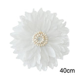 Maxbell Wall Art Decor Hanging Feathers Pendant Charm for Dining Room Habitacion Shell White