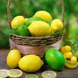 Maxbell 6x Artificial Lemons Vivid Durable Foam for Farmhouse Christmas Wedding Yellow
