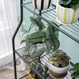 Maxbell 3 Tier Shoes Rack Organizer Flower Pot Stand for Hallway Dormitory Patio