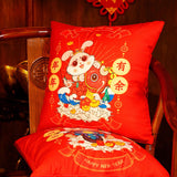 Maxbell Sofa Pillow Home Decor with Pillow Inserts Durable for living Room Style D