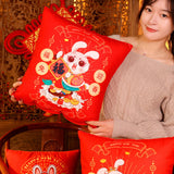 Maxbell Sofa Pillow Home Decor with Pillow Inserts Durable for living Room Style E