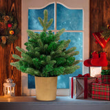 Maxbell Christmas Tree Artificial Xmas Tree Christmas Decoration for Desktop Decor