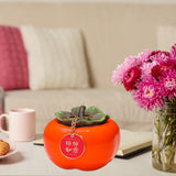 Maxbell Persimmon Storage Tank with Cover Containers Tea Cans Desktop Decorative style B