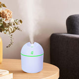 Maxbell Cute 220ml Portable Mist Humidifier with USB Cable Auto Shut Off Convenient Blue