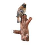 Maxbell Resin Bird Wall Hooks Decorative Clothes Hanger for Bags Bedroom Kitchen Brown Bird