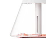 Maxbell Mist Humidifier with Lights Mist Spray 2 Mist Modes for Indoor Home Decor White