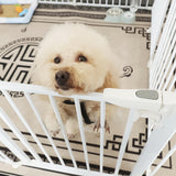 Maxbell Pet Fence High Pets Puppy Supplies Guard Barrier Dog Gate for Lawn Garden 7 Rod 48x76cm