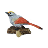 Maxbell Birds On A Branch Hanger Hanging Outdoor Tiles Resin Wall Coat Hook for Robe Red 13x4.5x8.5cm