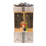 Maxbell Christmas Music Box Lantern Christmas Scene for Home Decor Birthday Gift White