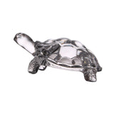 Maxbell Turtle Figurine Collection Collection Tabletop Peace for Bookshelf Decor S