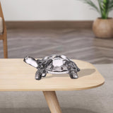 Maxbell Turtle Figurine Collection Collection Tabletop Peace for Bookshelf Decor S