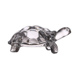 Maxbell Turtle Figurine Collection Collection Tabletop Peace for Bookshelf Decor M