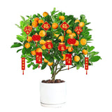 Maxbell 12 Pieces Chinese New Year Decorations Pendants for Party Office Bonsai Style B