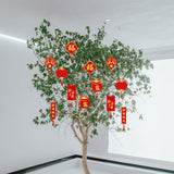 Maxbell 12 Pieces Chinese New Year Decorations Pendants for Party Office Bonsai Style B