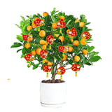 Maxbell 12 Pieces Chinese New Year Decorations Pendants for Party Office Bonsai Style C