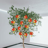 Maxbell 12 Pieces Chinese New Year Decorations Pendants for Party Office Bonsai Style C