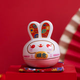 Maxbell Rabbit Figurine Piggy Bank Container Saving Box Ceramic for Home Decoration Style D