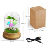 Maxbell Mushroom Night Light Decorative Gradient Lights for Bookshelf Home Decor