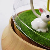 Maxbell Mushroom Night Light Decorative Gradient Lights for Bookshelf Home Decor