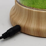 Maxbell Mushroom Night Light Decorative Gradient Lights for Bookshelf Home Decor