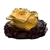 Maxbell Ancient Feng Shui Frog Toads Sculpture Ornament for Shop Cashier Registrati