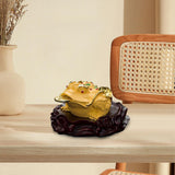 Maxbell Ancient Feng Shui Frog Toads Sculpture Ornament for Shop Cashier Registrati