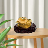 Maxbell Ancient Feng Shui Frog Toads Sculpture Ornament for Shop Cashier Registrati