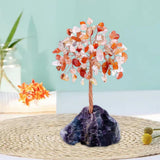 Maxbell Feng Shui Money Tree Farmhouse Bedroom Office Wedding Stone Bonsai Tree Pink Red