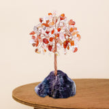 Maxbell Feng Shui Money Tree Farmhouse Bedroom Office Wedding Stone Bonsai Tree Pink Red