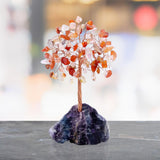 Maxbell Feng Shui Money Tree Farmhouse Bedroom Office Wedding Stone Bonsai Tree Pink Red
