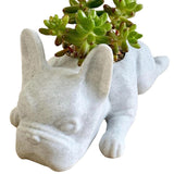 Maxbell Tabletop Animal Planter Pot Holder Bonsai Pots Cute for Home Office Decor