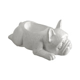 Maxbell Tabletop Animal Planter Pot Holder Bonsai Pots Cute for Home Office Decor