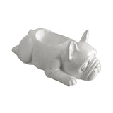 Maxbell Tabletop Animal Planter Pot Holder Bonsai Pots Cute for Home Office Decor