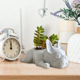 Maxbell Tabletop Animal Planter Pot Holder Bonsai Pots Cute for Home Office Decor