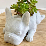 Maxbell Tabletop Animal Planter Pot Holder Bonsai Pots Cute for Home Office Decor