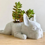 Maxbell Tabletop Animal Planter Pot Holder Bonsai Pots Cute for Home Office Decor