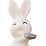 Maxbell Lovely Rabbit Ornament Statue Handmade Resin for Window Living Room Desktop Style F
