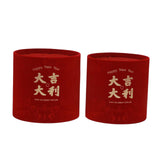 Maxbell Chinese New Year Vase Table Centerpiece Ornaments for Spring Festival Indoor Auspicious