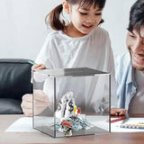 Maxbell Decorative Transparent Piggy Bank for Office Birthday Gift Home Decoration 12cmx12cmx12cm