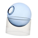 Maxbell Hydroponic Vase Floral Arrangement Decor for Living Room Exhibition New Year Blue Short