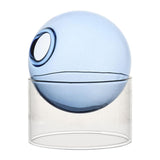 Maxbell Hydroponic Vase Floral Arrangement Decor for Living Room Exhibition New Year Blue Short