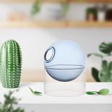 Maxbell Hydroponic Vase Floral Arrangement Decor for Living Room Exhibition New Year Blue Short