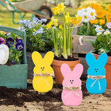 Maxbell Easter Bunny Ornaments Rabbit Shape Ornament for Dorm Living Room three