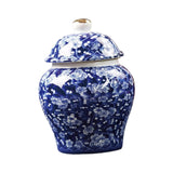 Maxbell Chinese Style Porcelain Ginger Jar Storage Jar Glazed Hand Painted Household