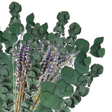 Maxbell Eucalyptus Lavender Flowers Bundle Plant for Office Decorations Dining Room