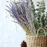 Maxbell Eucalyptus Lavender Flowers Bundle Plant for Office Decorations Dining Room