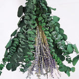 Maxbell Eucalyptus Lavender Flowers Bundle Plant for Office Decorations Dining Room