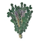 Maxbell Eucalyptus Lavender Flowers Bundle Plant for Office Decorations Dining Room